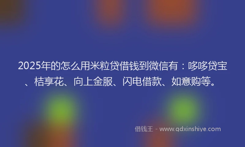2025年的怎么用米粒贷借钱到微信有：哆哆贷宝、桔享花、向上金服、闪电借款、如意购等。