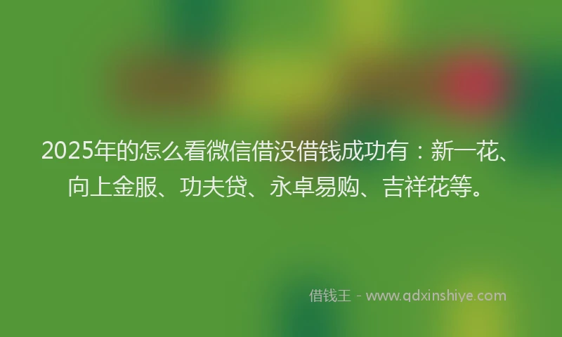 2025年的怎么看微信借没借钱成功有：新一花、向上金服、功夫贷、永卓易购、吉祥花等。