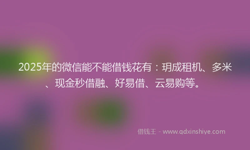 2025年的微信能不能借钱花有：玥成租机、多米、现金秒借融、好易借、云易购等。