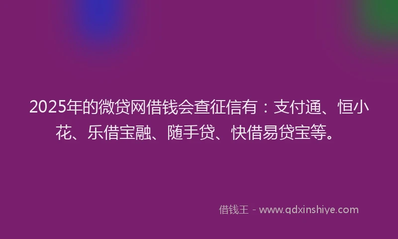 2025年的微贷网借钱会查征信有：支付通、恒小花、乐借宝融、随手贷、快借易贷宝等。