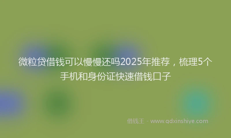 微粒贷借钱可以慢慢还吗2025年推荐，梳理5个手机和身份证快速借钱口子