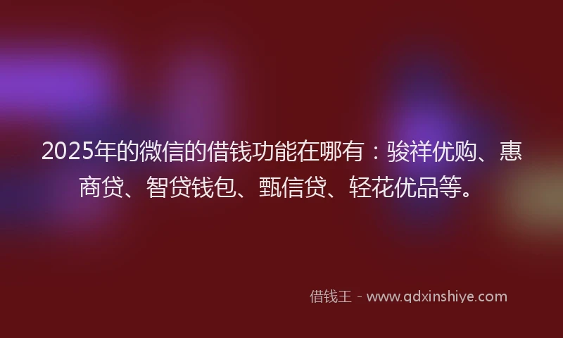 2025年的微信的借钱功能在哪有：骏祥优购、惠商贷、智贷钱包、甄信贷、轻花优品等。