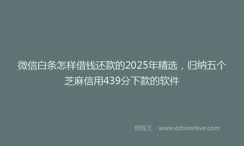 微信白条怎样借钱还款的2025年精选，归纳五个芝麻信用439分下款的软件
