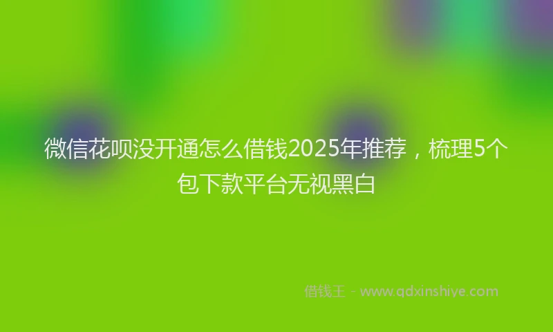 微信花呗没开通怎么借钱2025年推荐，梳理5个包下款平台无视黑白