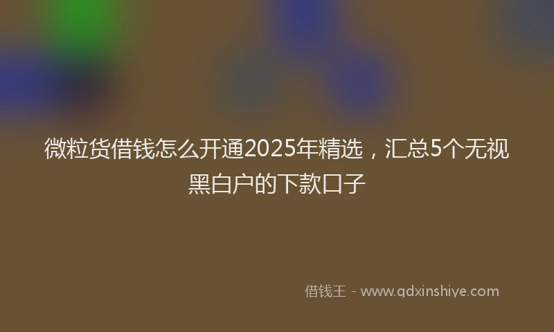 微粒货借钱怎么开通2025年精选，汇总5个无视黑白户的下款口子