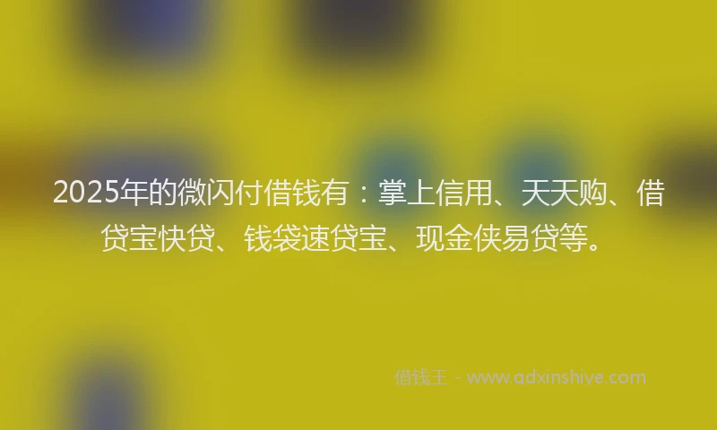 2025年的微闪付借钱有：掌上信用、天天购、借贷宝快贷、钱袋速贷宝、现金侠易贷等。