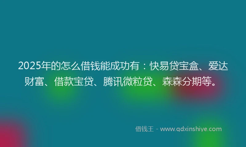 2025年的怎么借钱能成功有：快易贷宝盒、爱达财富、借款宝贷、腾讯微粒贷、森森分期等。