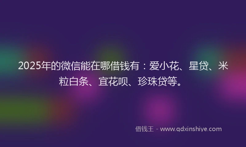 2025年的微信能在哪借钱有：爱小花、星贷、米粒白条、宜花呗、珍珠贷等。