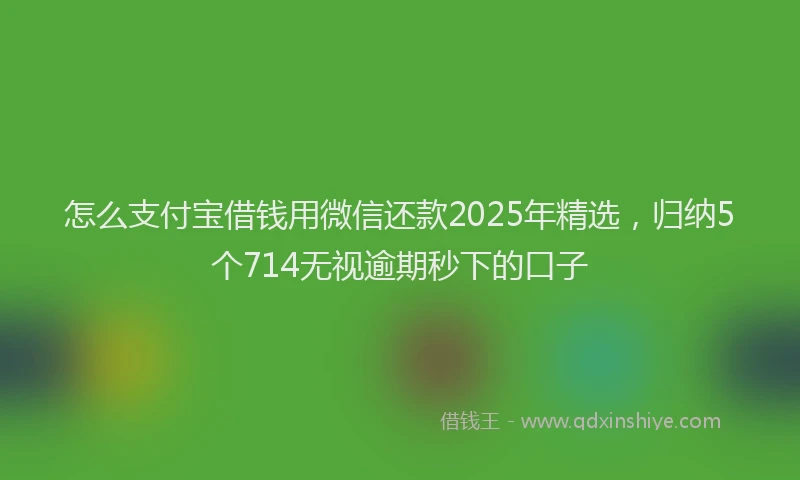 怎么支付宝借钱用微信还款2025年精选，归纳5个714无视逾期秒下的口子