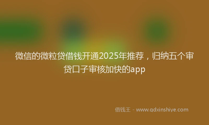 微信的微粒贷借钱开通2025年推荐，归纳五个审贷口子审核加快的app