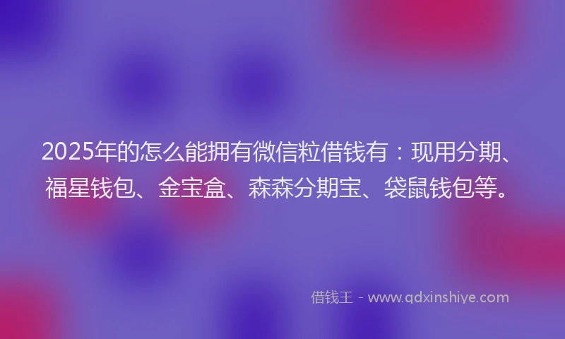 2025年的怎么能拥有微信粒借钱有：现用分期、福星钱包、金宝盒、森森分期宝、袋鼠钱包等。