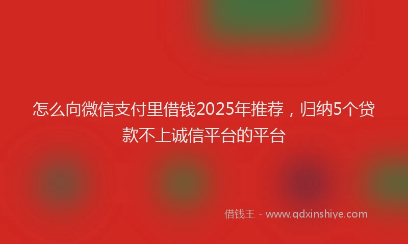 怎么向微信支付里借钱2025年推荐，归纳5个贷款不上诚信平台的平台