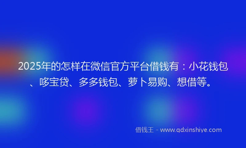 2025年的怎样在微信官方平台借钱有：小花钱包、哆宝贷、多多钱包、萝卜易购、想借等。