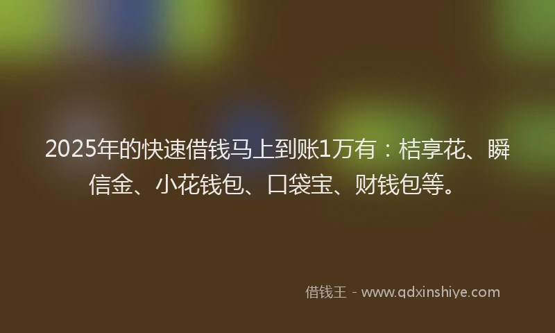 2025年的快速借钱马上到账1万有：桔享花、瞬信金、小花钱包、口袋宝、财钱包等。