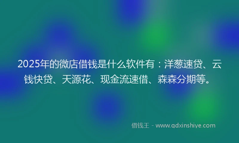 2025年的微店借钱是什么软件有：洋葱速贷、云钱快贷、天源花、现金流速借、森森分期等。