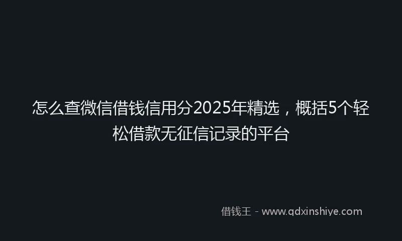 怎么查微信借钱信用分2025年精选，概括5个轻松借款无征信记录的平台