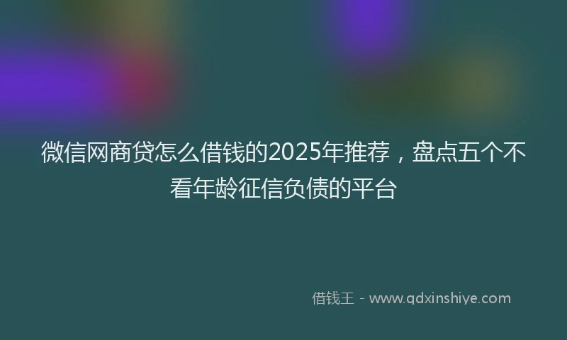 微信网商贷怎么借钱的2025年推荐，盘点五个不看年龄征信负债的平台