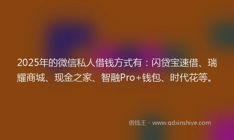 2025年的微信私人借钱方式有：闪贷宝速借、瑞耀商城、现金之家、智融Pro+钱包、时代花等。