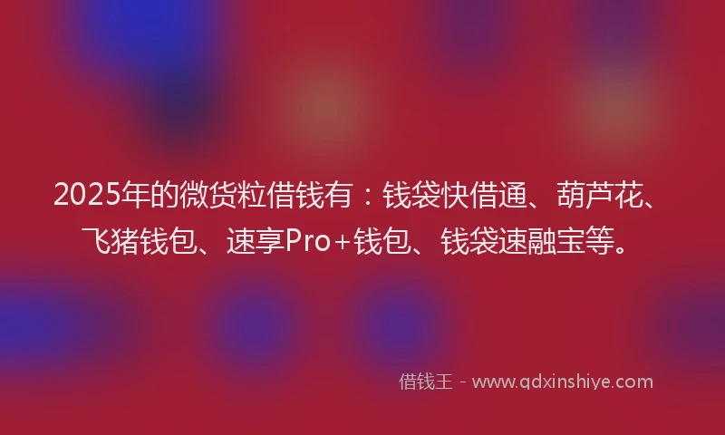 2025年的微货粒借钱有：钱袋快借通、葫芦花、飞猪钱包、速享Pro+钱包、钱袋速融宝等。
