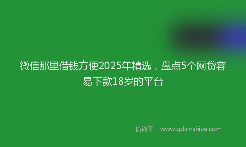 微信那里借钱方便2025年精选，盘点5个网贷容易下款18岁的平台