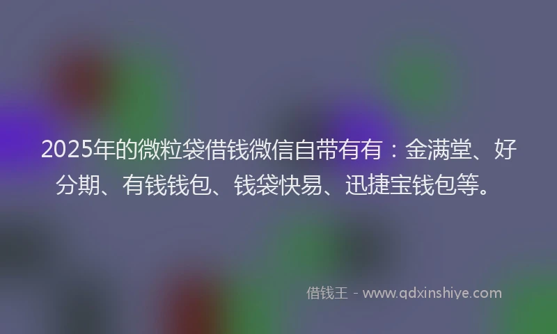 2025年的微粒袋借钱微信自带有有：金满堂、好分期、有钱钱包、钱袋快易、迅捷宝钱包等。
