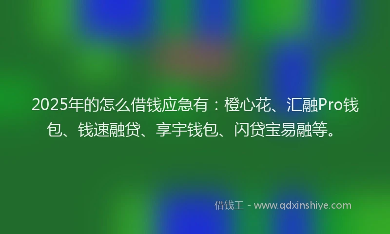 2025年的怎么借钱应急有：橙心花、汇融Pro钱包、钱速融贷、享宇钱包、闪贷宝易融等。