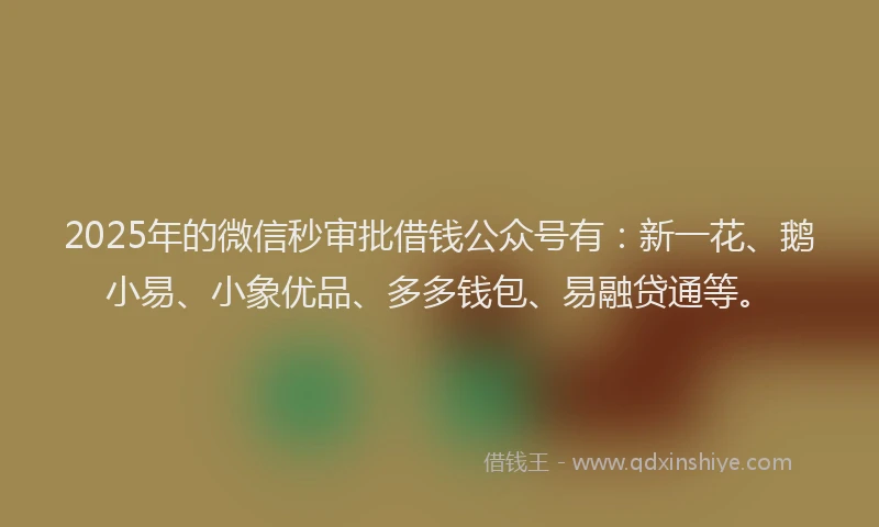 2025年的微信秒审批借钱公众号有：新一花、鹅小易、小象优品、多多钱包、易融贷通等。