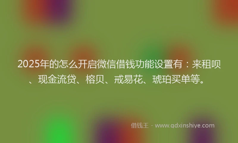 2025年的怎么开启微信借钱功能设置有：来租呗、现金流贷、榕贝、戒易花、琥珀买单等。