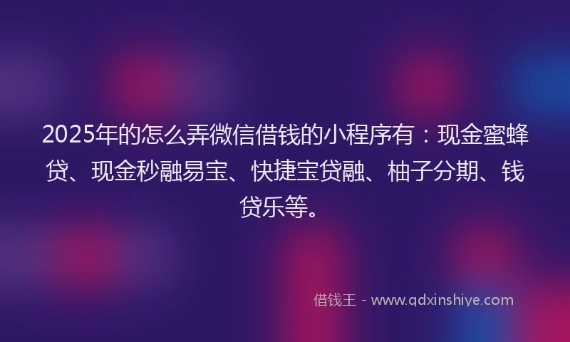 2025年的怎么弄微信借钱的小程序有：现金蜜蜂贷、现金秒融易宝、快捷宝贷融、柚子分期、钱贷乐等。
