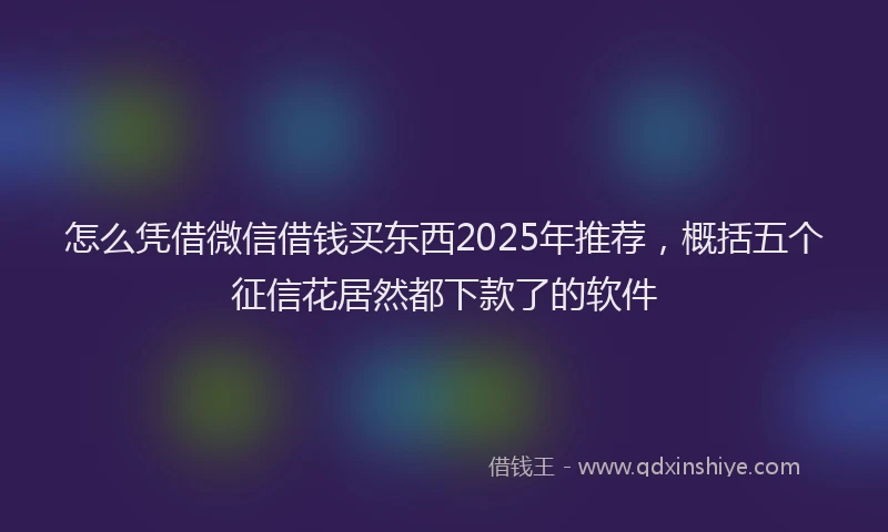 怎么凭借微信借钱买东西2025年推荐，概括五个征信花居然都下款了的软件