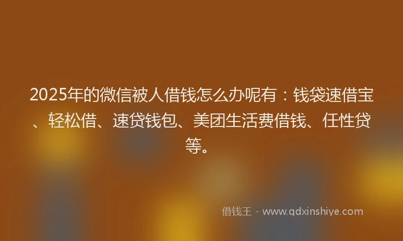 2025年的微信被人借钱怎么办呢有：钱袋速借宝、轻松借、速贷钱包、美团生活费借钱、任性贷等。