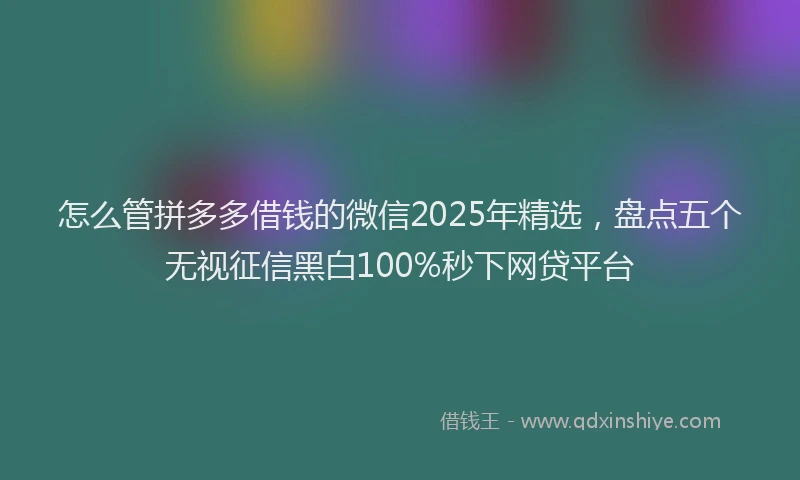 怎么管拼多多借钱的微信2025年精选，盘点五个无视征信黑白100%秒下网贷平台
