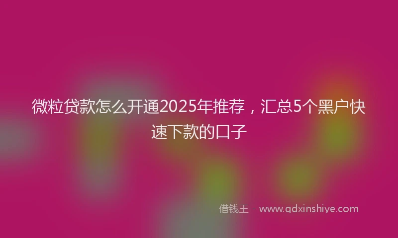 微粒贷款怎么开通2025年推荐，汇总5个黑户快速下款的口子