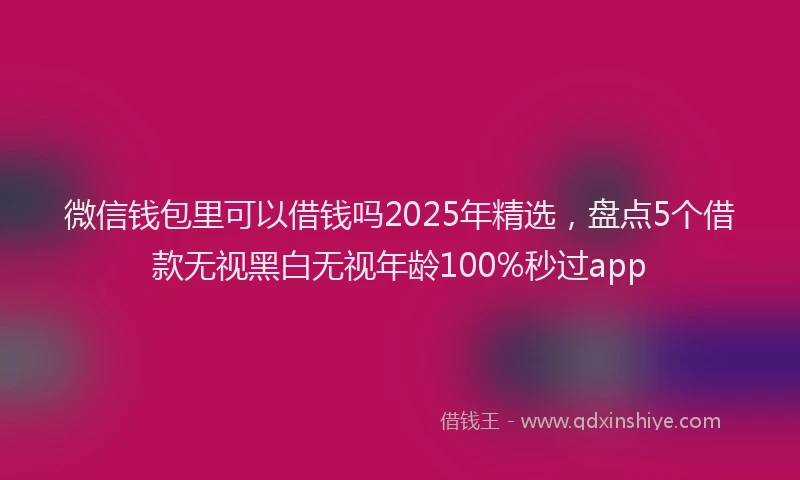 微信钱包里可以借钱吗2025年精选，盘点5个借款无视黑白无视年龄100%秒过app