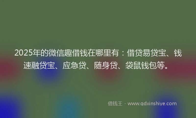 2025年的微信趣借钱在哪里有：借贷易贷宝、钱速融贷宝、应急贷、随身贷、袋鼠钱包等。