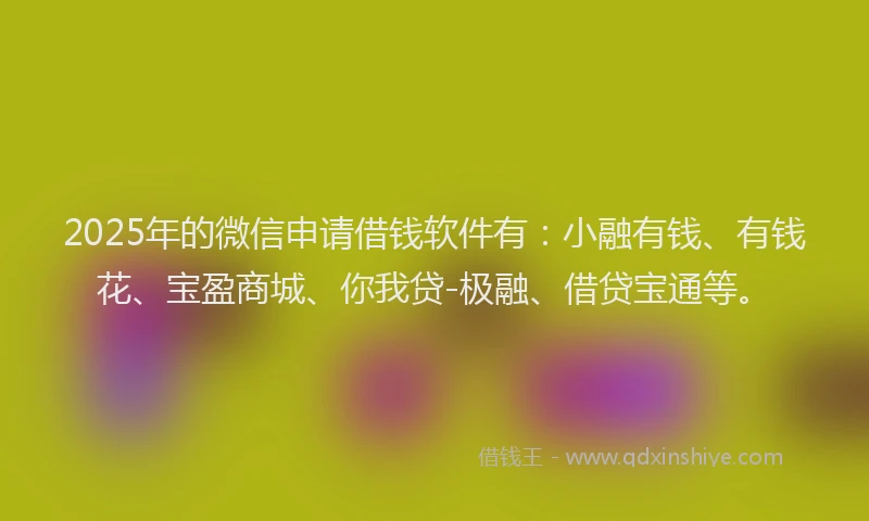 2025年的微信申请借钱软件有：小融有钱、有钱花、宝盈商城、你我贷-极融、借贷宝通等。