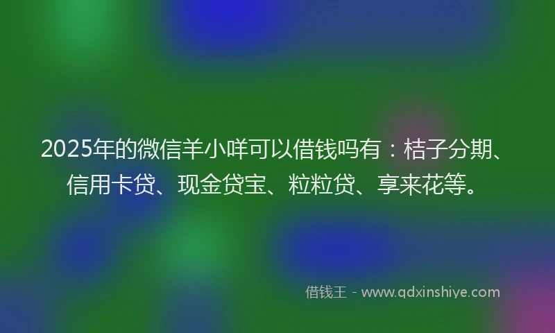 2025年的微信羊小咩可以借钱吗有：桔子分期、信用卡贷、现金贷宝、粒粒贷、享来花等。