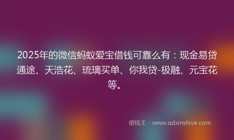 2025年的微信蚂蚁爱宝借钱可靠么有：现金易贷通途、天浩花、琉璃买单、你我贷-极融、元宝花等。