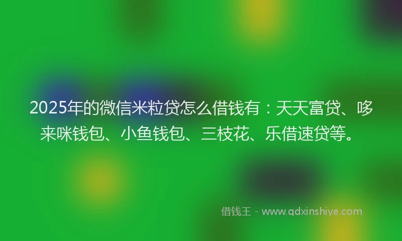2025年的微信米粒贷怎么借钱有：天天富贷、哆来咪钱包、小鱼钱包、三枝花、乐借速贷等。
