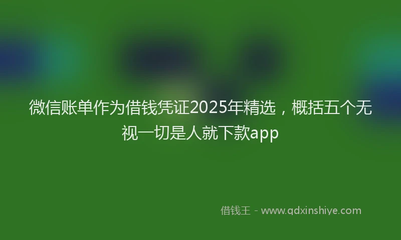 微信账单作为借钱凭证2025年精选，概括五个无视一切是人就下款app