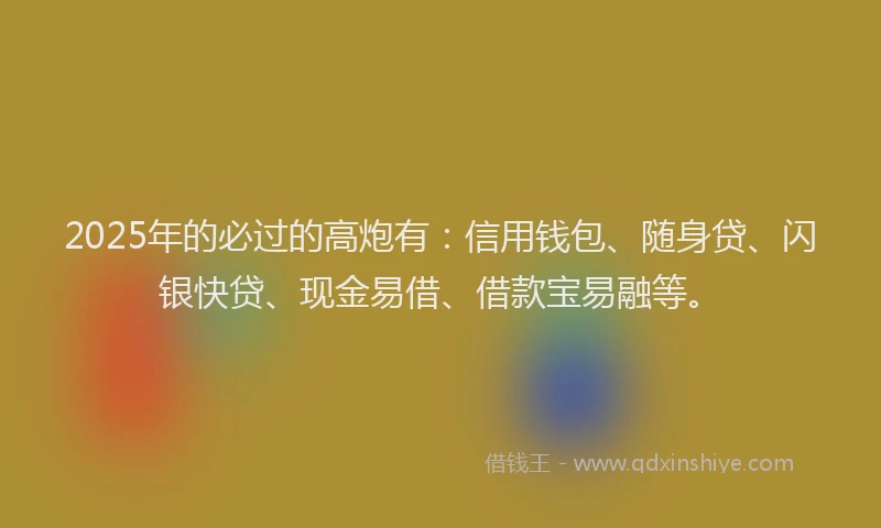 2025年的必过的高炮有：信用钱包、随身贷、闪银快贷、现金易借、借款宝易融等。