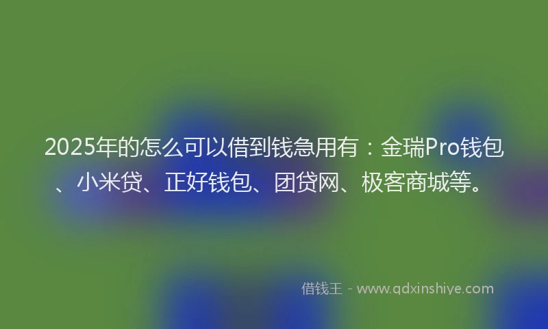 2025年的怎么可以借到钱急用有：金瑞Pro钱包、小米贷、正好钱包、团贷网、极客商城等。