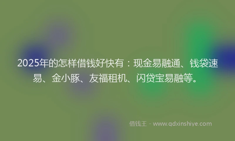 2025年的怎样借钱好快有：现金易融通、钱袋速易、金小豚、友福租机、闪贷宝易融等。