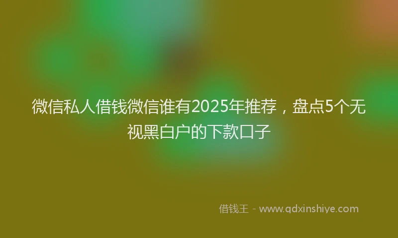 微信私人借钱微信谁有2025年推荐，盘点5个无视黑白户的下款口子