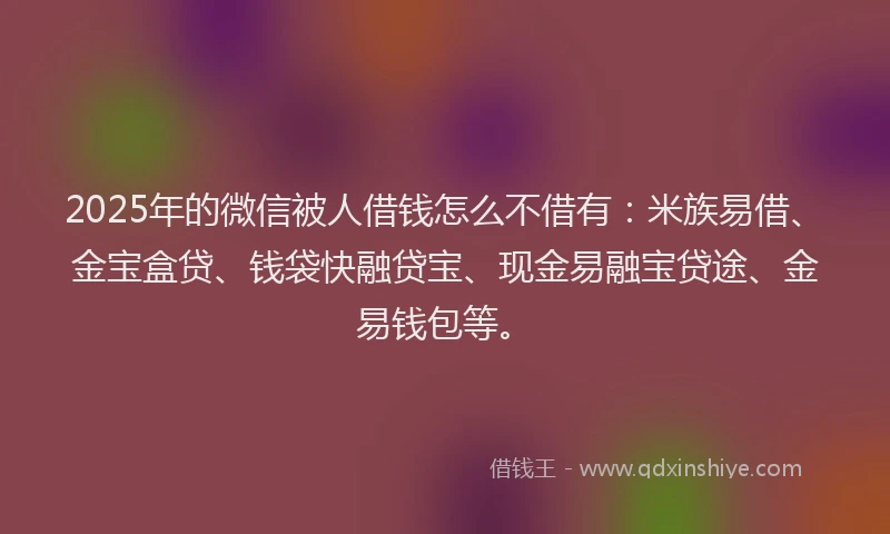 2025年的微信被人借钱怎么不借有：米族易借、金宝盒贷、钱袋快融贷宝、现金易融宝贷途、金易钱包等。