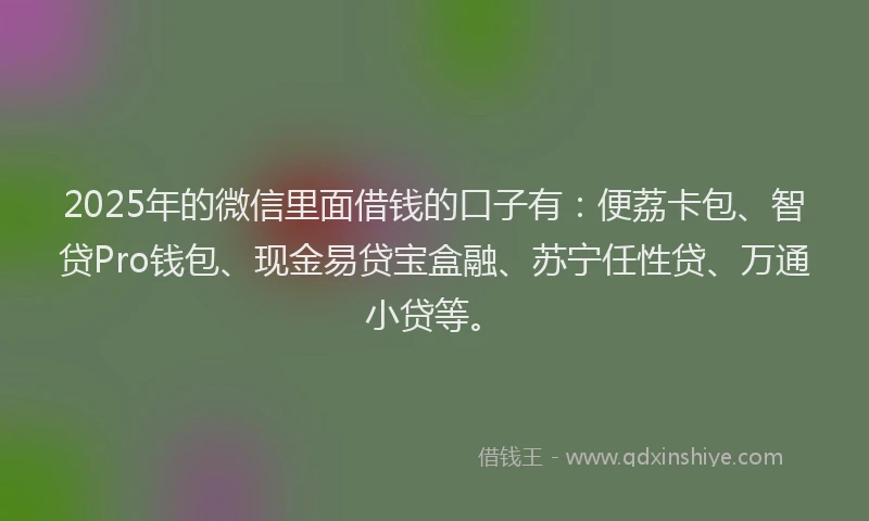 2025年的微信里面借钱的口子有：便荔卡包、智贷Pro钱包、现金易贷宝盒融、苏宁任性贷、万通小贷等。