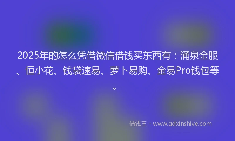 2025年的怎么凭借微信借钱买东西有：涌泉金服、恒小花、钱袋速易、萝卜易购、金易Pro钱包等。