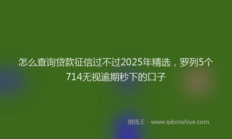 怎么查询贷款征信过不过2025年精选，罗列5个714无视逾期秒下的口子