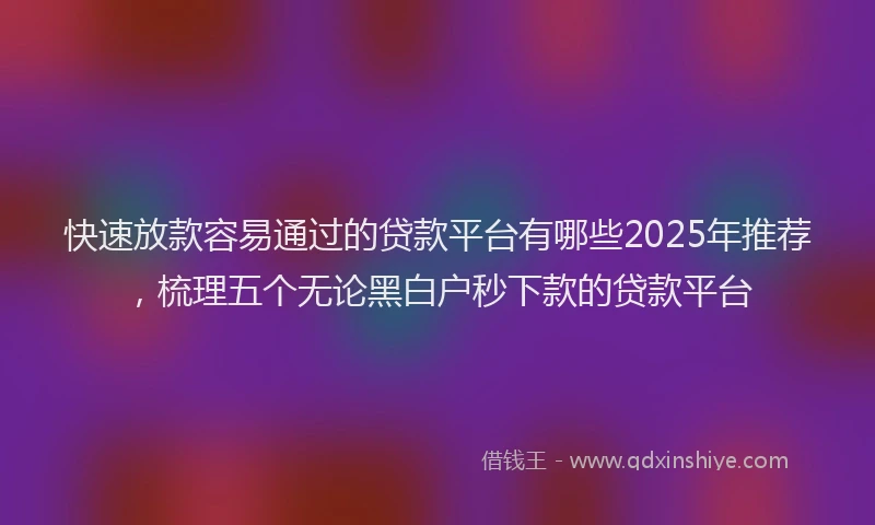 快速放款容易通过的贷款平台有哪些2025年推荐，梳理五个无论黑白户秒下款的贷款平台