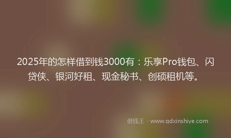 2025年的怎样借到钱3000有：乐享Pro钱包、闪贷侠、银河好租、现金秘书、创硕租机等。